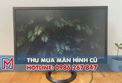 Thu mua màn hình máy tính cũ giá cao - Thu mua tại nhà