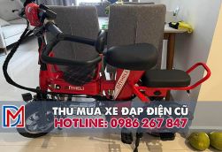 Thu mua xe đạp điện cũ tại Tân Bình, thu mua tại nhà