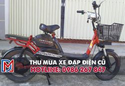 Thu mua xe đạp điện cũ tại Quận 8, thu mua tại nhà