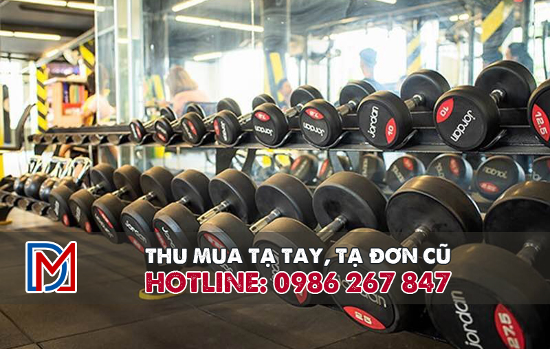 Thanh lý tạ tay, tạ đơn cũ - Bạn đang cần thanh lý tạ tay cũ?