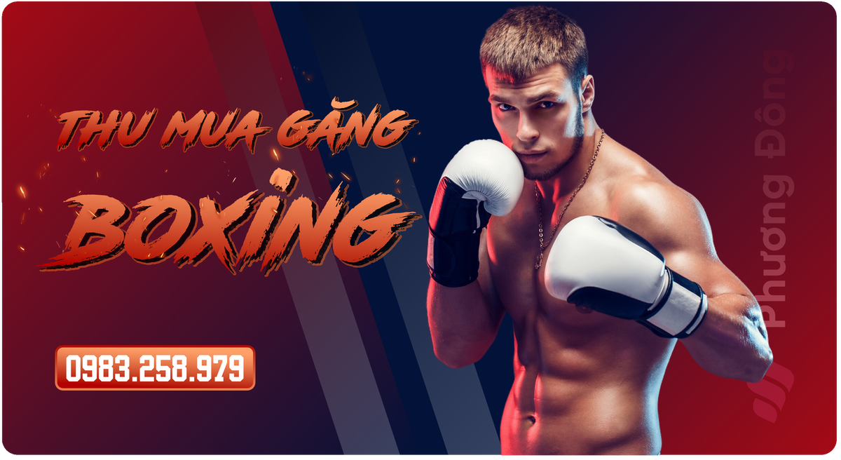 Thu mua găng tay Boxing, thu mua tận nơi